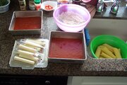100_3336.JPG