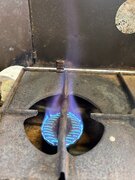 IMG_7467.jpeg