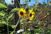 100_3546.JPG