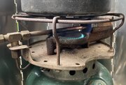 IMG_6197.jpeg