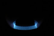 1364793953-IMG_0432_Primus41_opt.jpg