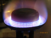 1362003572-IMG_5586.JPG