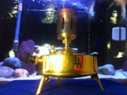 1361743493-photo__3__opt.jpg