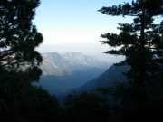 1250605761-DSCN1421.JPG