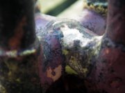 1353873576-20.JPG