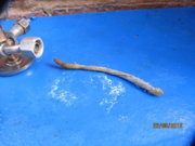 1345665939-IMG_7597_opt.jpg