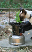 1342295420-IMG_9736_full_stove_opt.jpg