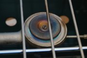 DSC00667.jpg