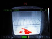 1329860015-9.JPG