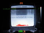 1329860038-11.JPG