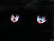 1320944088-IMG_3277_opt.jpg