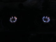1320944105-IMG_3281_opt.jpg