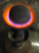 1318560805-130_3012.jpg