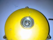 1310843828-image650.jpg