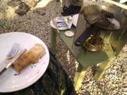 IMG_20110308_134150.jpg