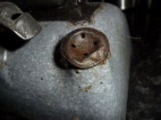 1301688153-beatrice_001_opt_opt.jpg
