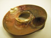 1300828836-4.JPG