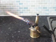 1263740624-P1010146.gif