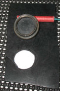1288634974-IMG_3442W.jpg