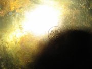 1287808933-IMG_2511.JPG