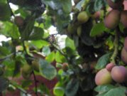 1283197155-16.JPG