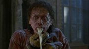 1281661566-the-fly-1986-jeff-goldblum22.jpg