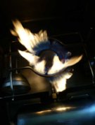 1271618667-Army-No.12-burner-trials-8.jpg