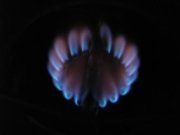 1271023778-18.JPG