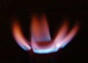 1262964083-No_7_flame_opt.jpg
