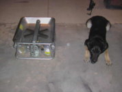1253950392-m2a-burn-1.jpg