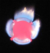 1253059824-010.jpg